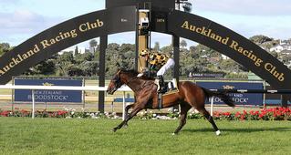 Probabeel (NZ), dominating last year's Karaka Million 2YO. 
